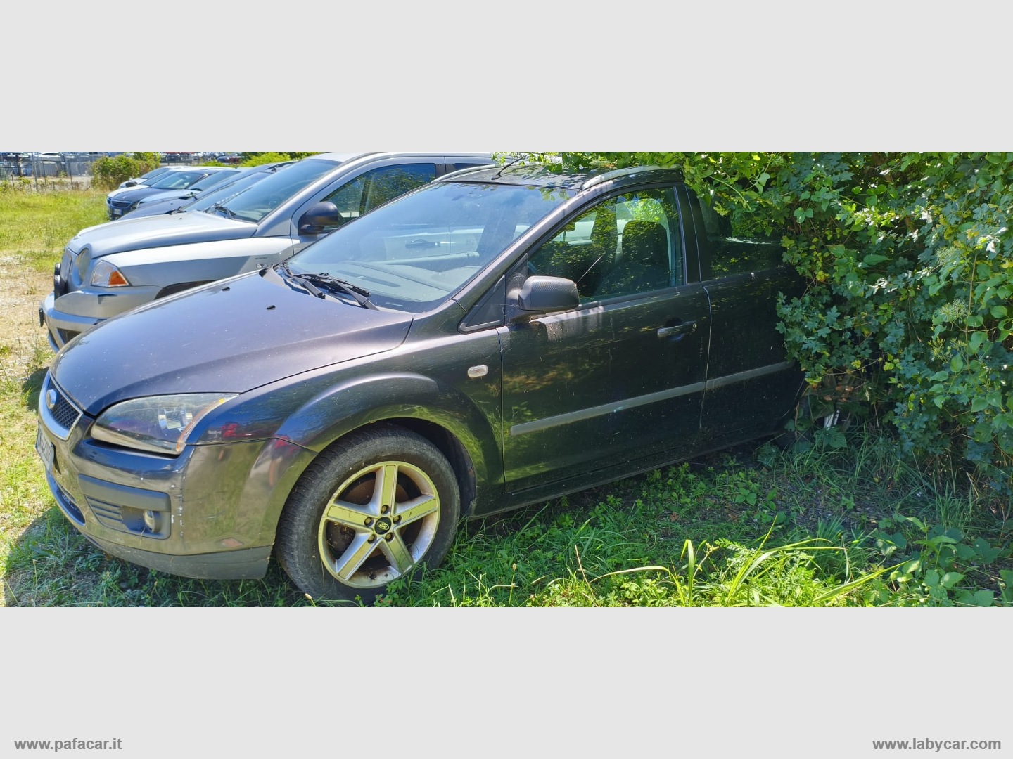 FORD&nbsp;Focus/Focus C-Max