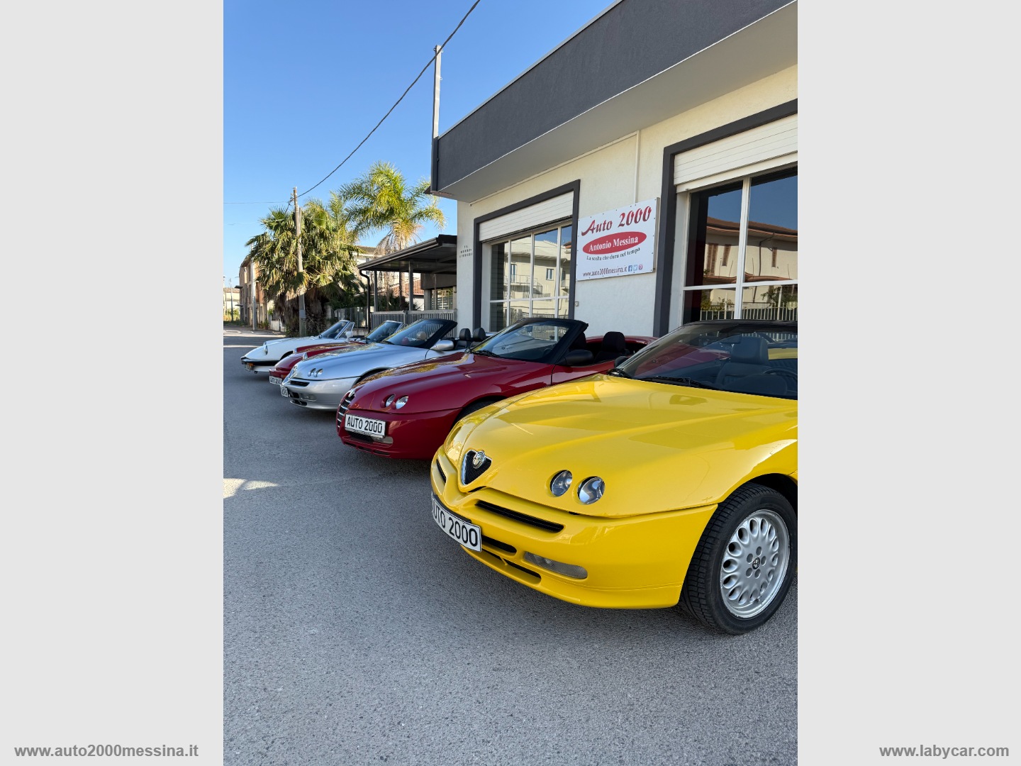 ALFA ROMEO&nbsp;Gtv/Spider
