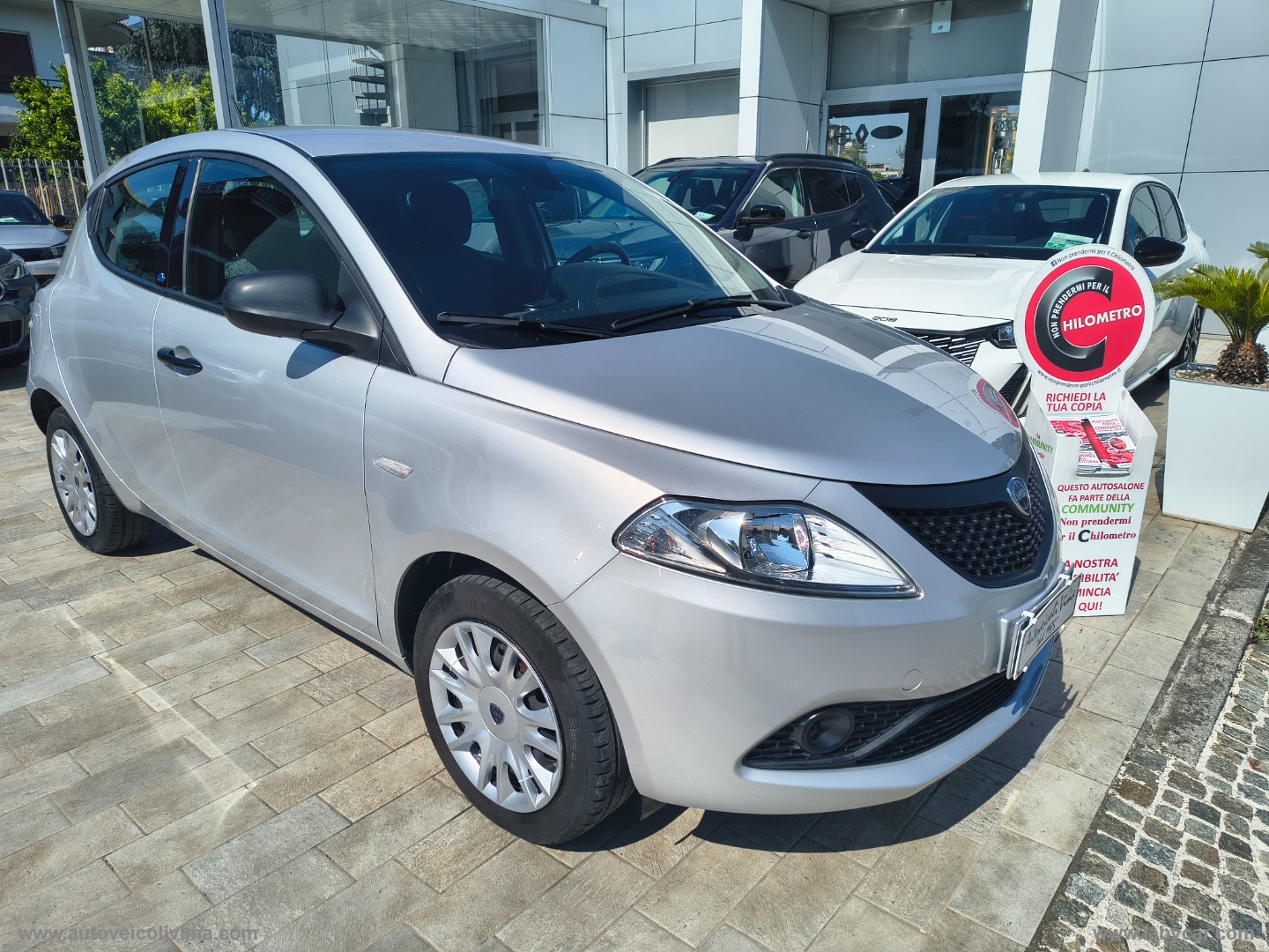 LANCIA Ypsilon 1.2 69 CV 5p. S&S Elefantino Blu 