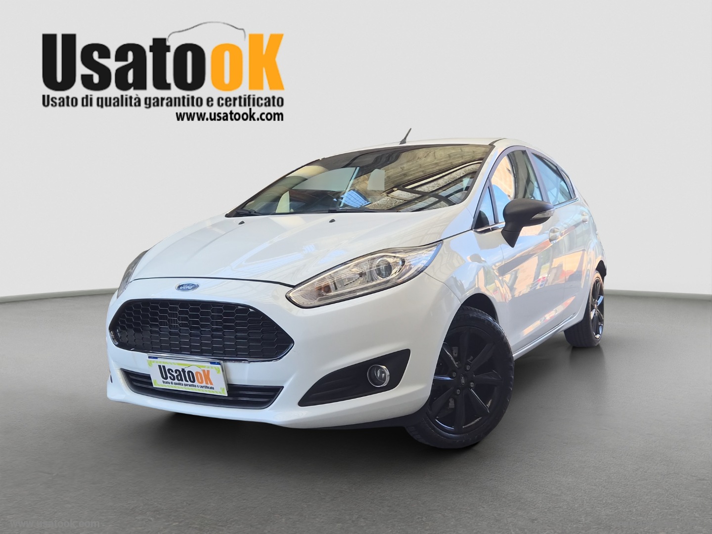FORD Fiesta 1.0 EcoB. 100CV 5p. Bl.&White Ed. ADATTA ANCHE A NEOPATENTATI                            