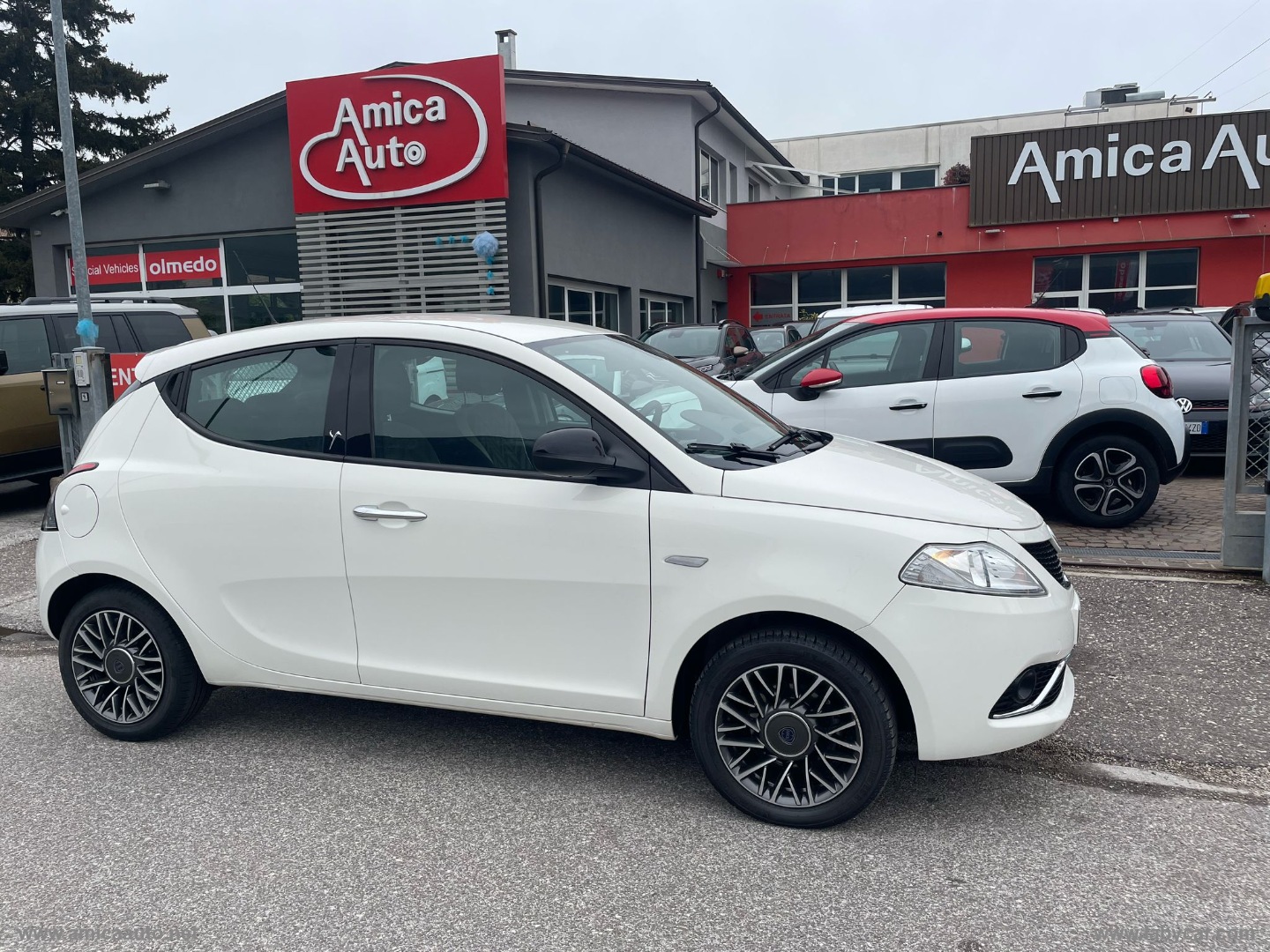 Ypsilon 1.3 MJT 95 CV 5p. GOLD                                                        