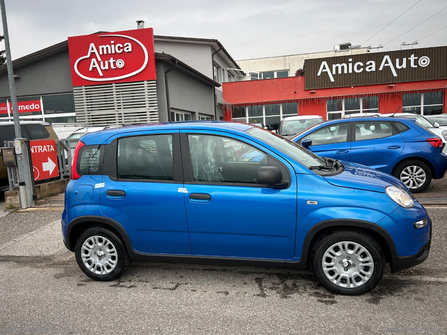 Panda 1.0 FireFly S&S Hybrid 5 POSTI 5 POSTI + PACK CITY+IBRIDA+METTALIZZATO                