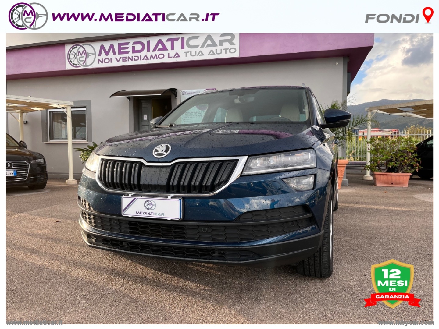 SKODA Karoq 1.6 TDI SCR DSG Style 