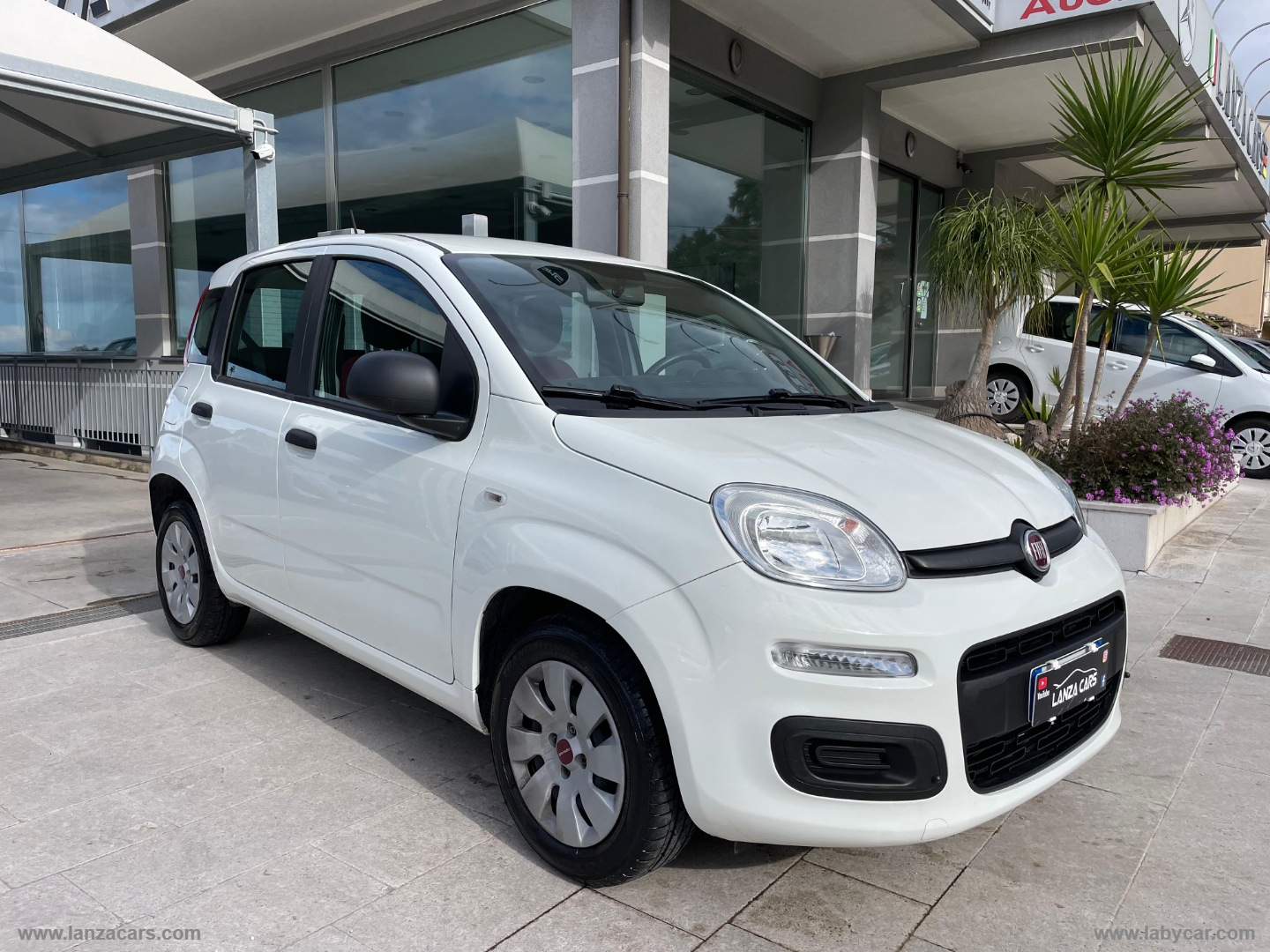 Panda 1.2 Easy                                                        