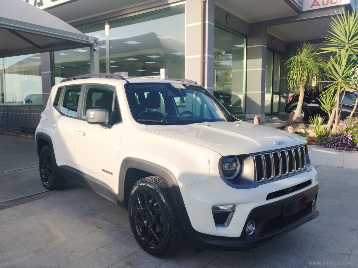 JEEP Renegade 1.6 Mjt 130CV Limited 