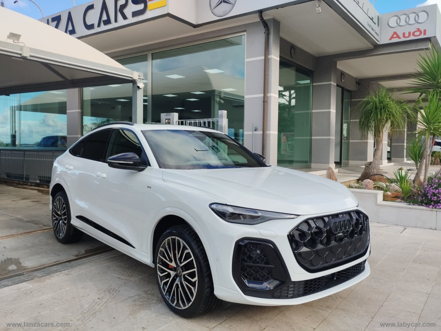 AUDI Q5 SPB TDi S tronic quattro S line ed. 