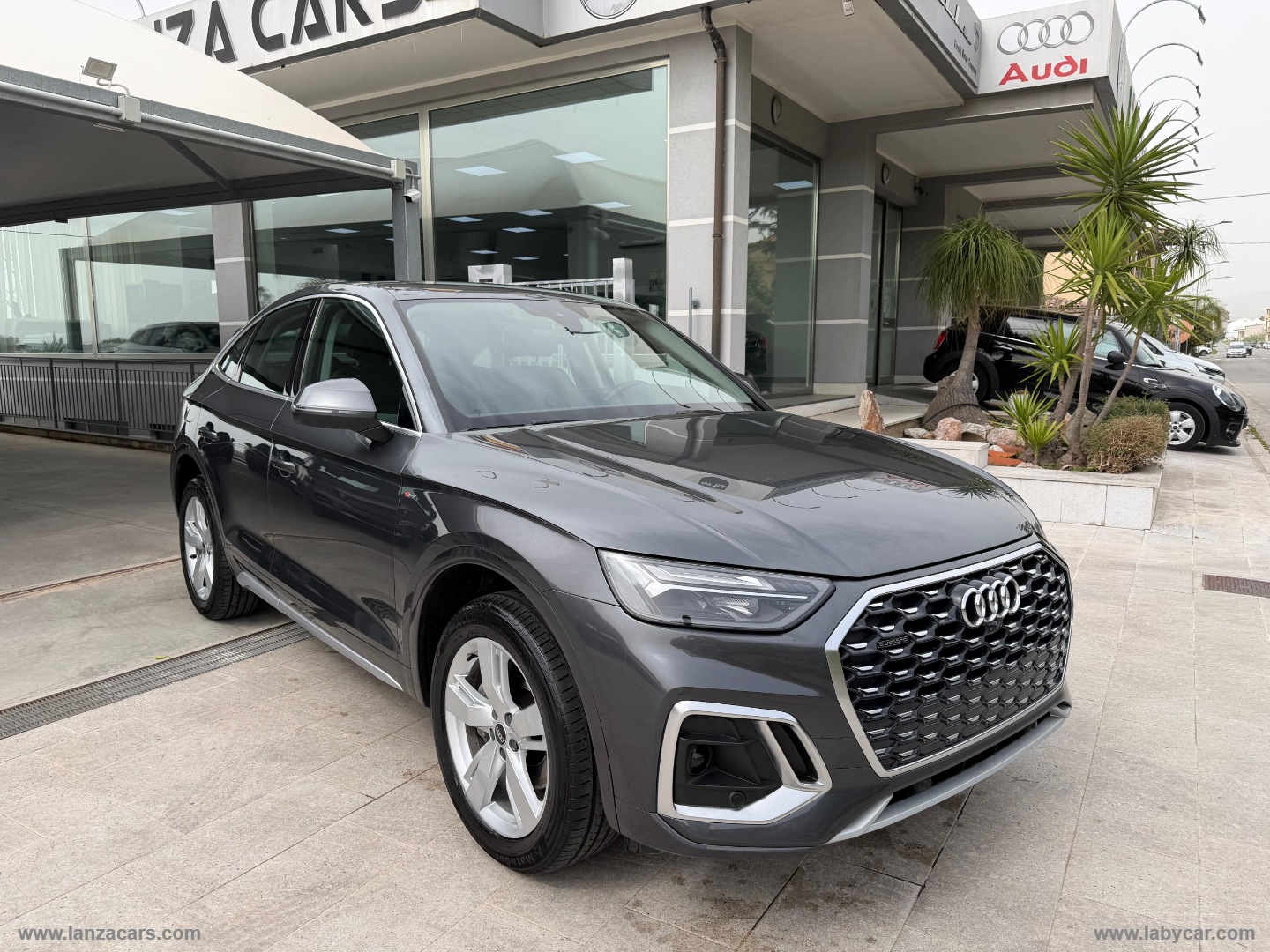 AUDI Q5 SPB 40 TDI quattro S tr. Busin. Adv. 