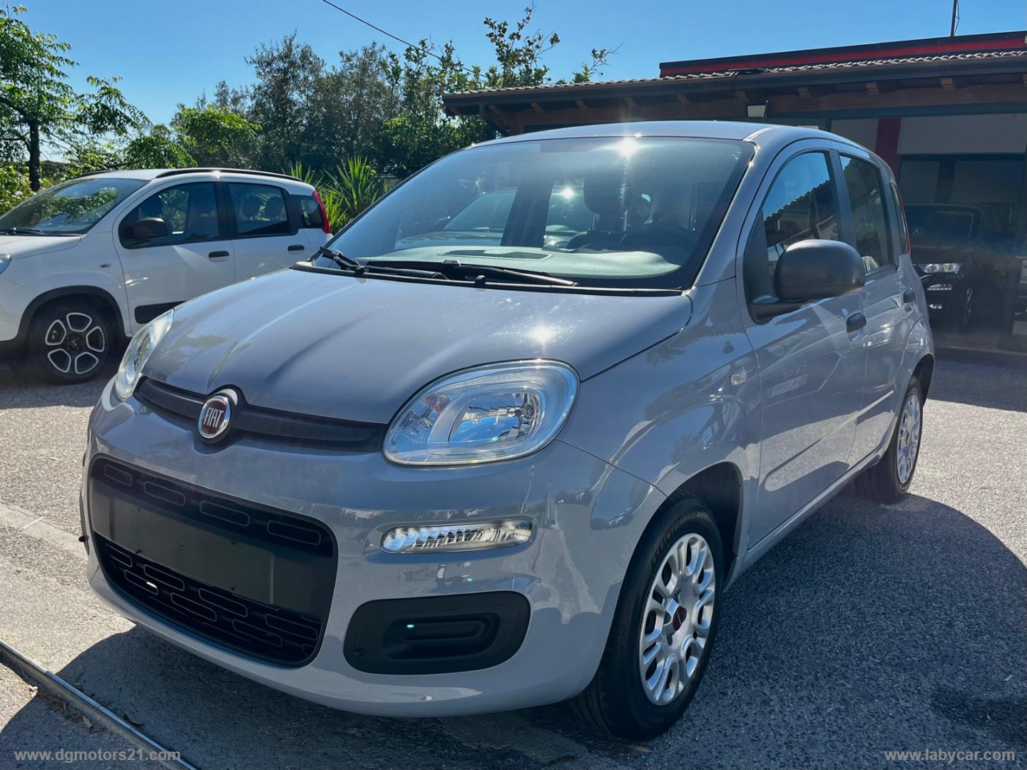 Panda 1.2 Easy                                                        