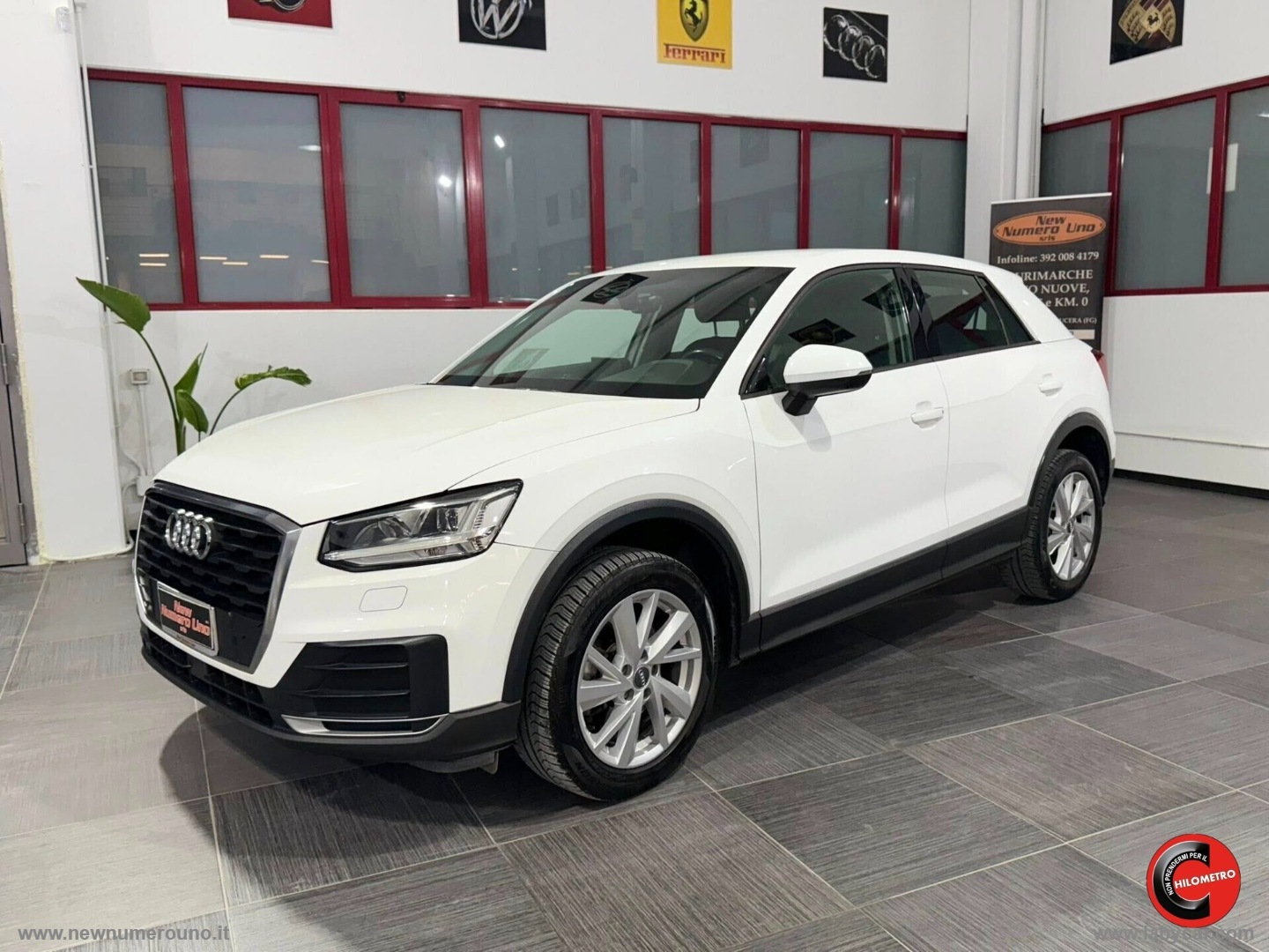 AUDI Q2 1.6 TDI Business                                                        
