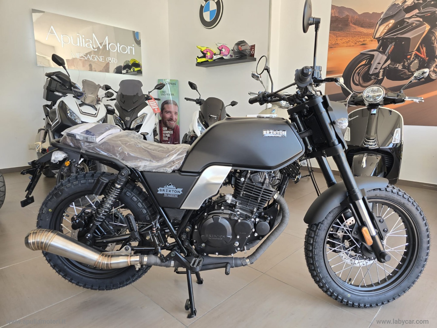 BRIXTON&nbsp;Felsberg 250