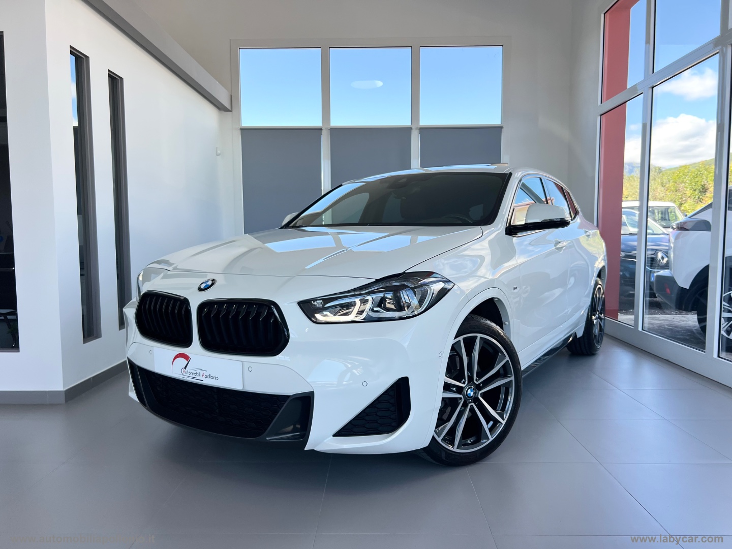 BMW X2