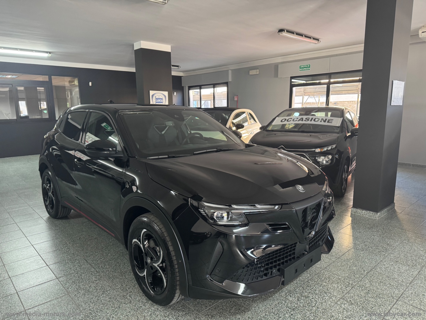 ALFA ROMEO Junior