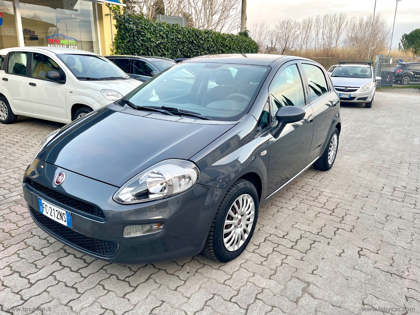 Punto 1.2 8V 5p. Street                                                        