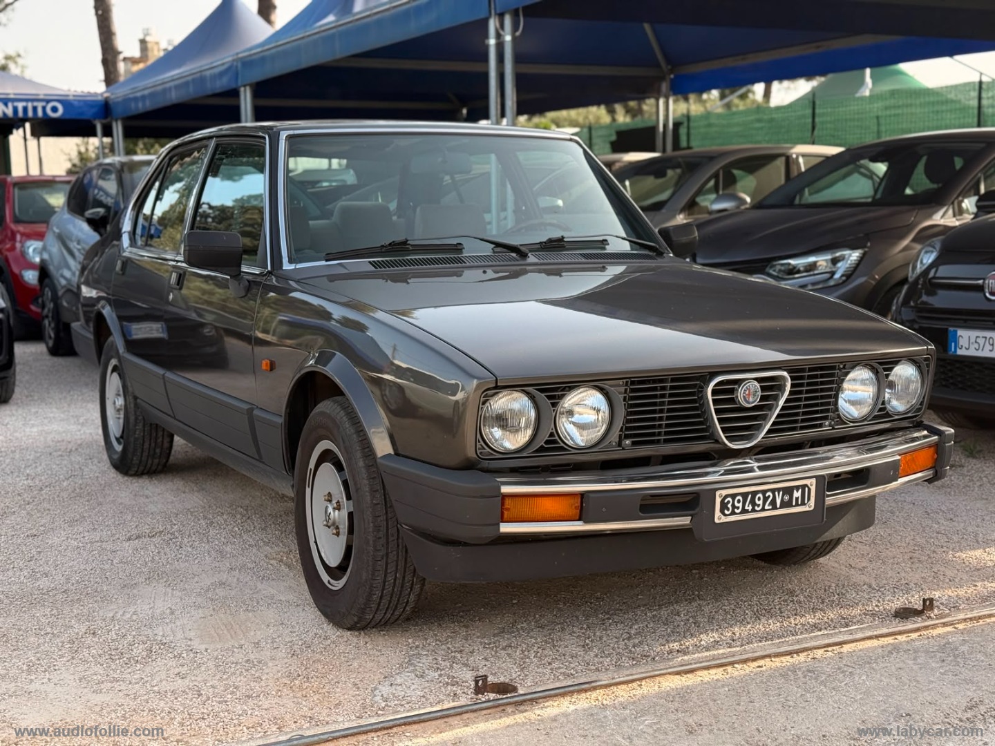 ALFA ROMEO Alfetta