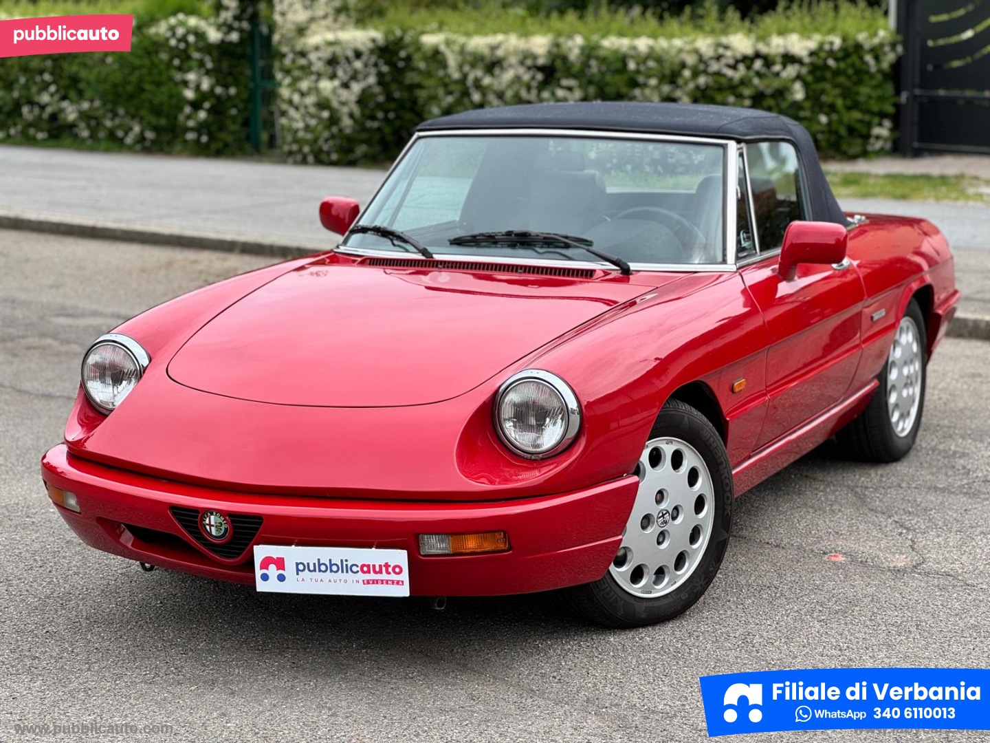 ALFA ROMEO Spider