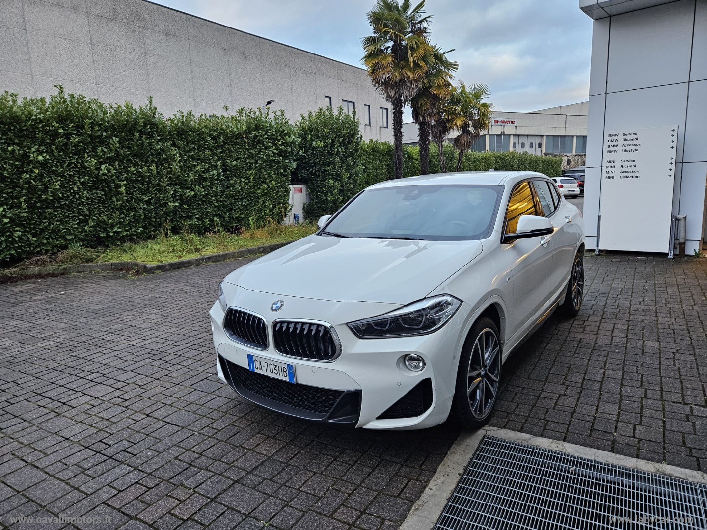 BMW X2
