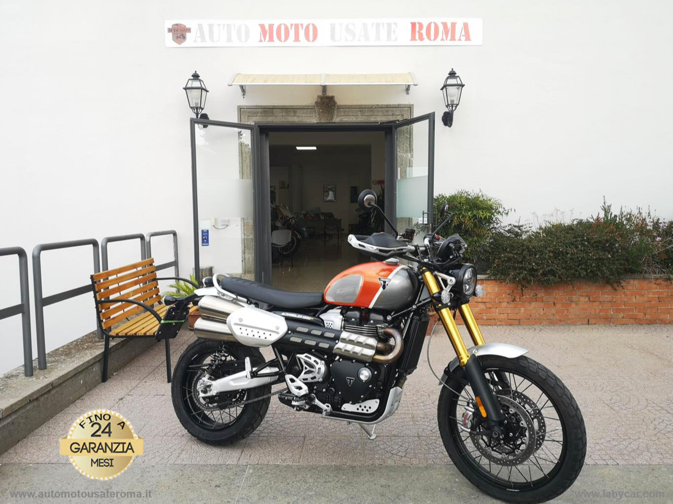 TRIUMPH 