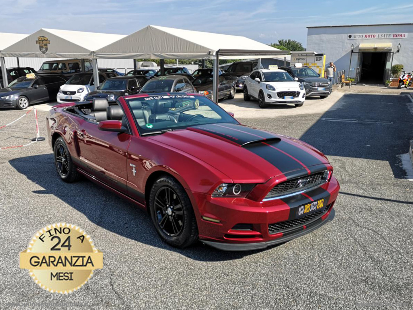 MUSTANG Mustang