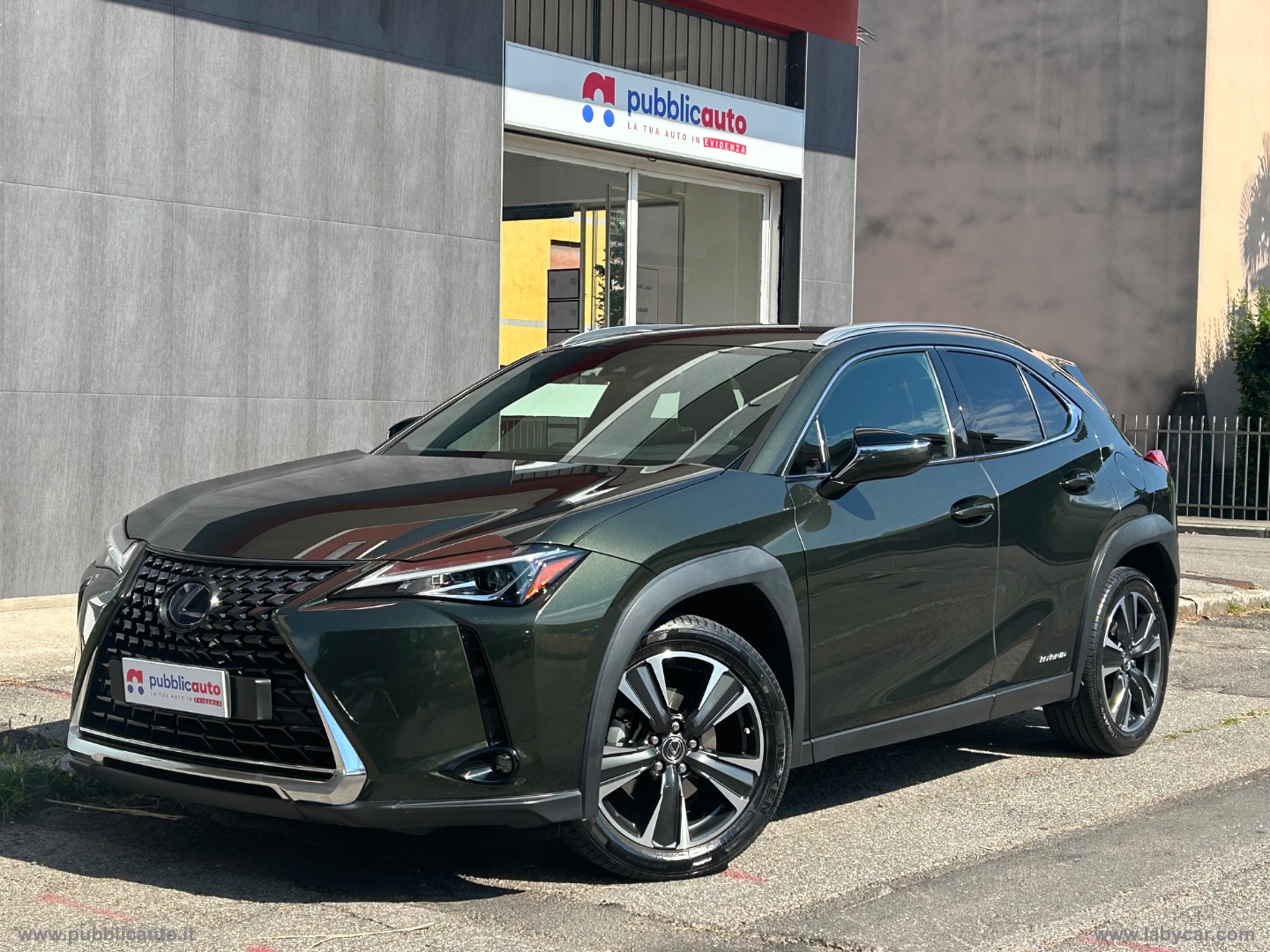 LEXUS UX 250 Hybrid Executive 