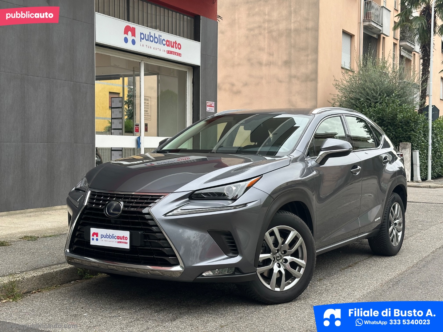 LEXUS NX Hybrid 4WD Executive                                                        