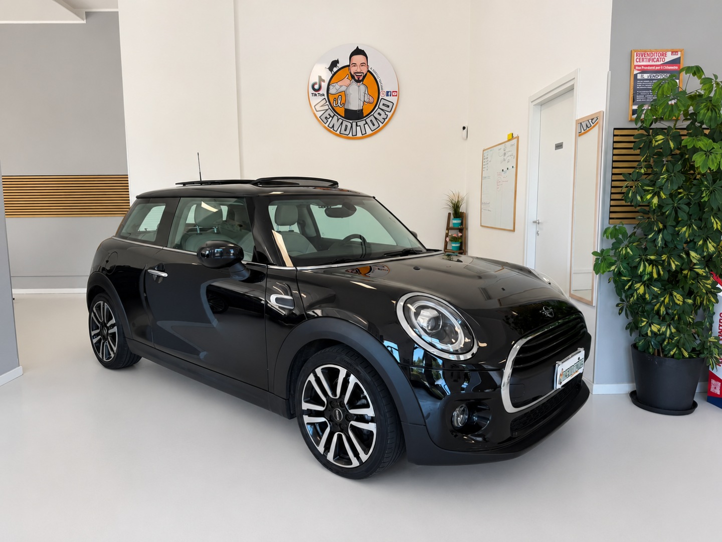MINI Mini