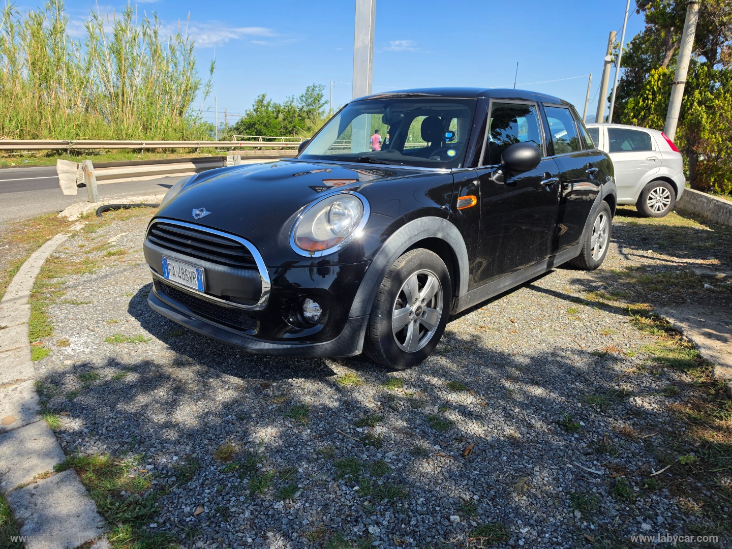 MINI Mini