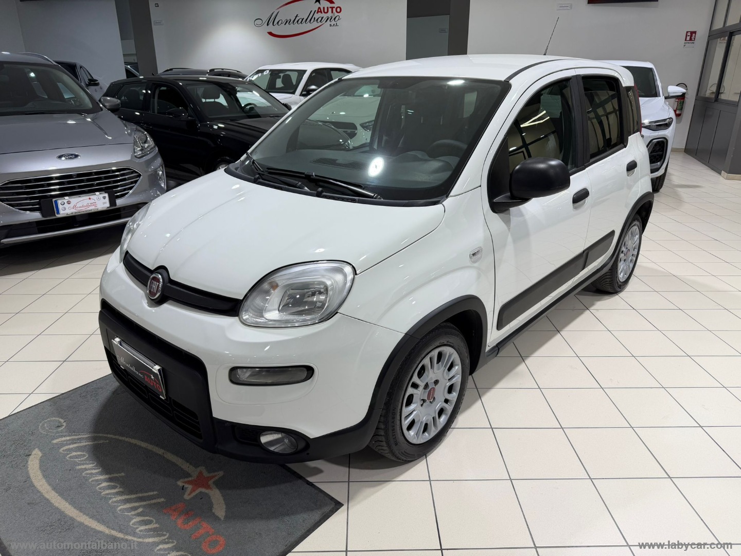 Panda 1.0 GSE Hybrid Street Van 4 p.ti                                                        
