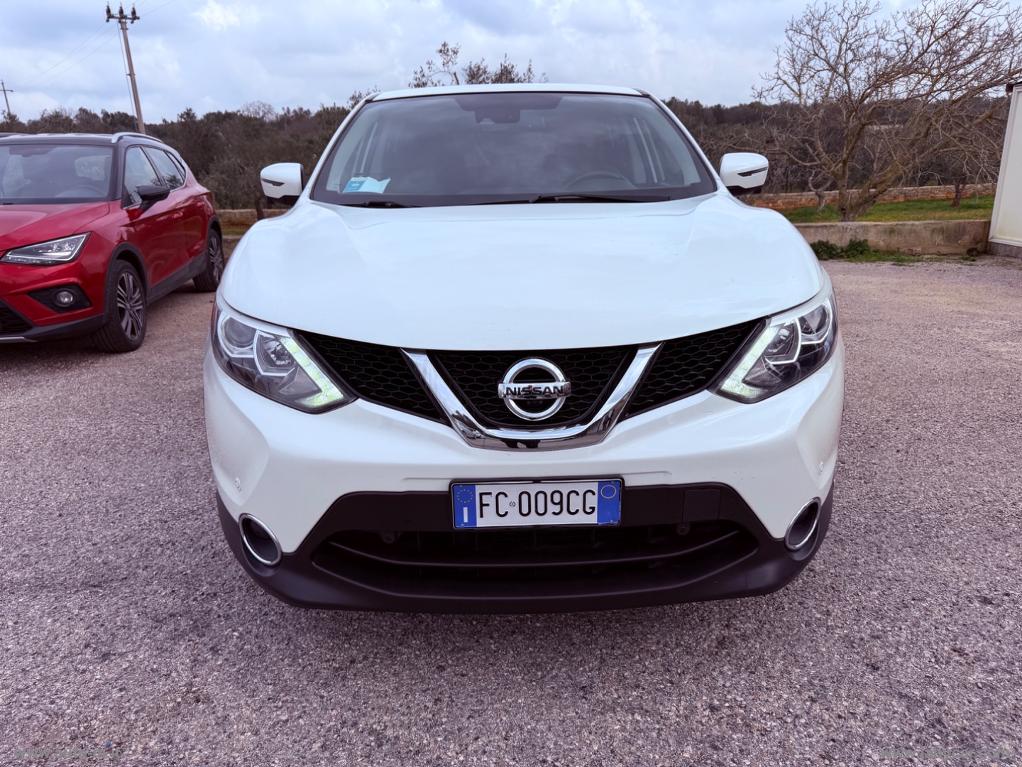 Qashqai 1.6 dCi 4WD Business                                                        