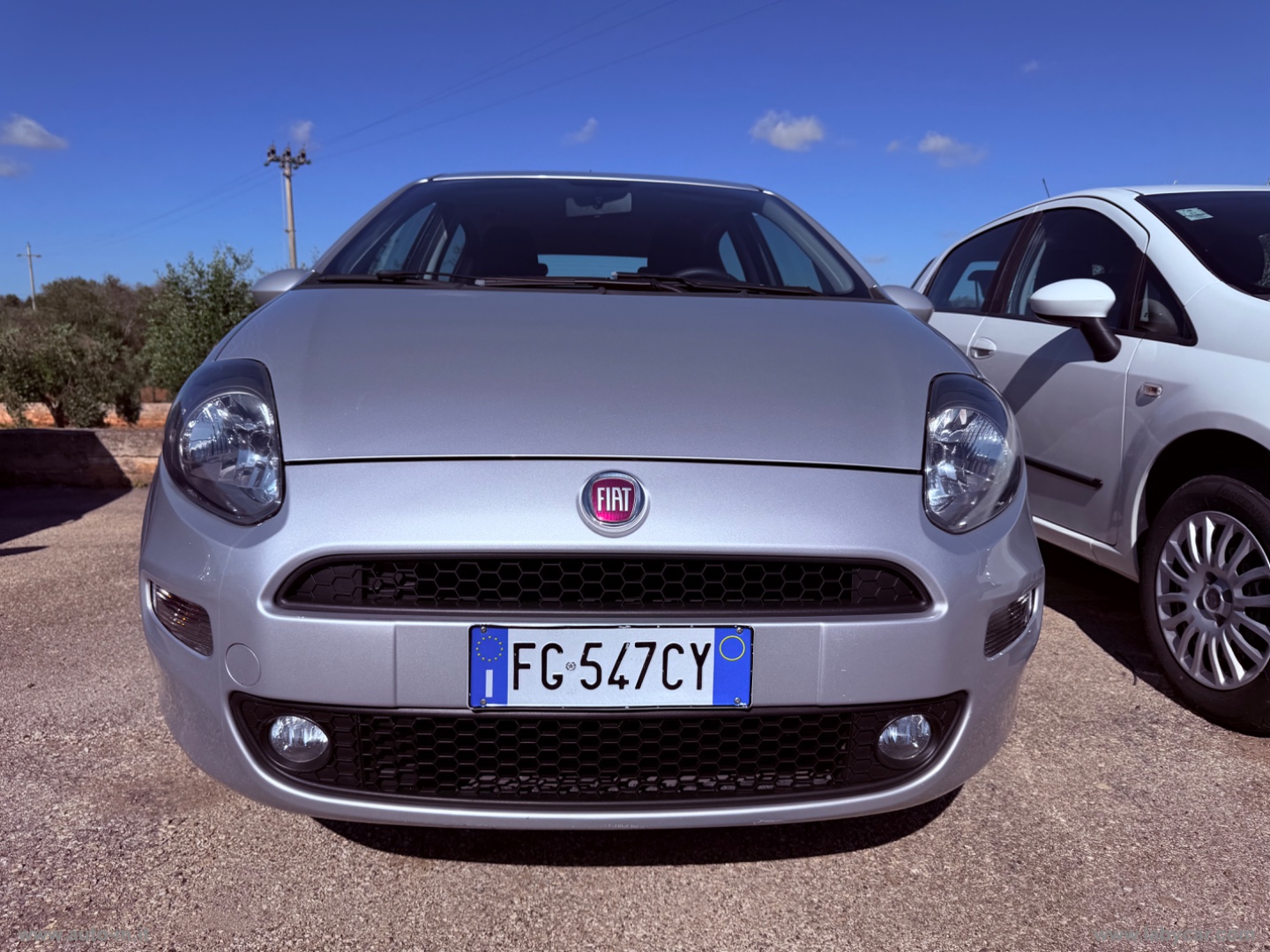 Punto 1.4 8V 5p. Easypower Lounge                                                        