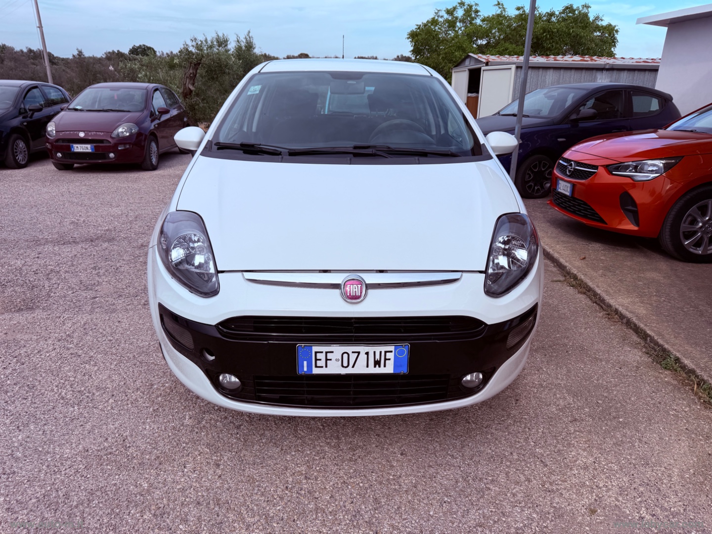 FIAT&nbsp;Punto Evo