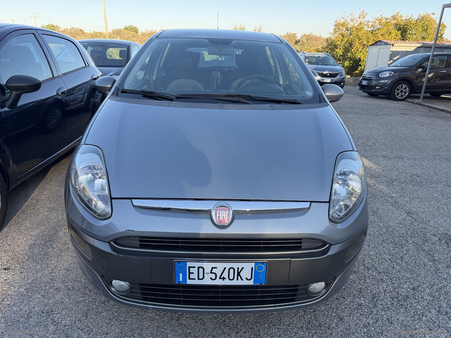 FIAT Punto Evo