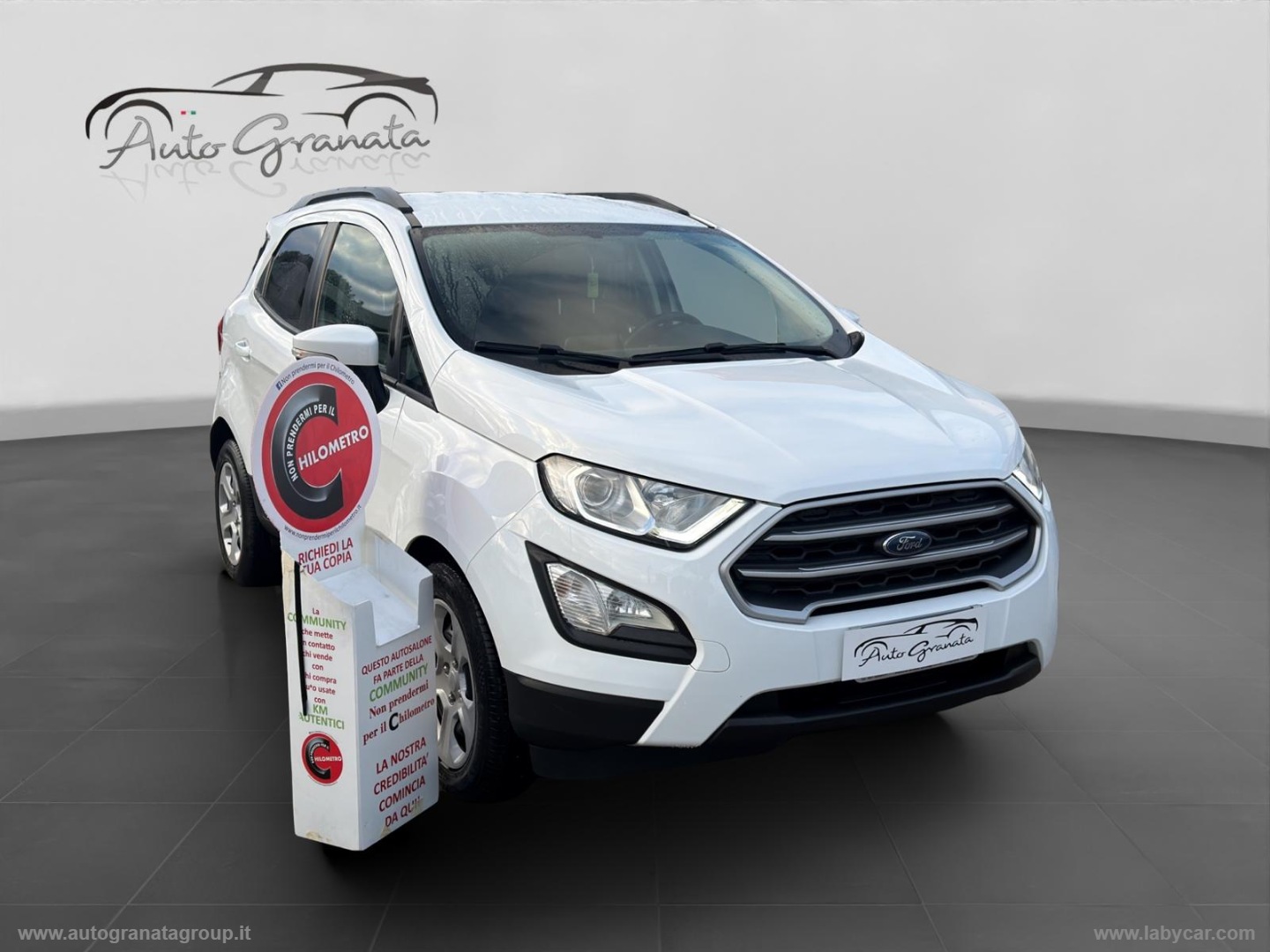 FORD EcoSport 1.5 TDCi 100 CV S&S Business PERFETTA!