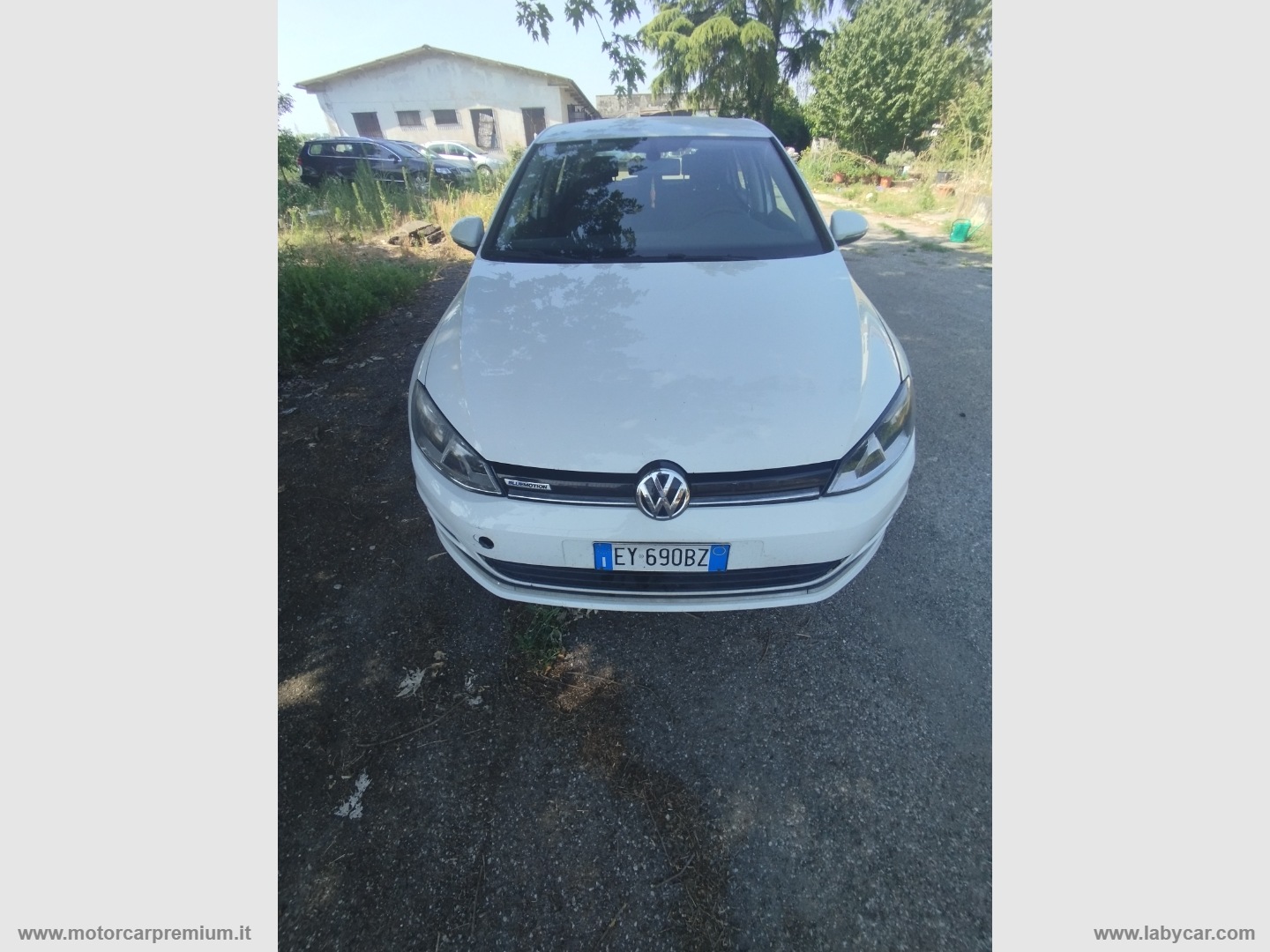 Golf Bus. 1.4 TGI 5p. Highline BM                                                        