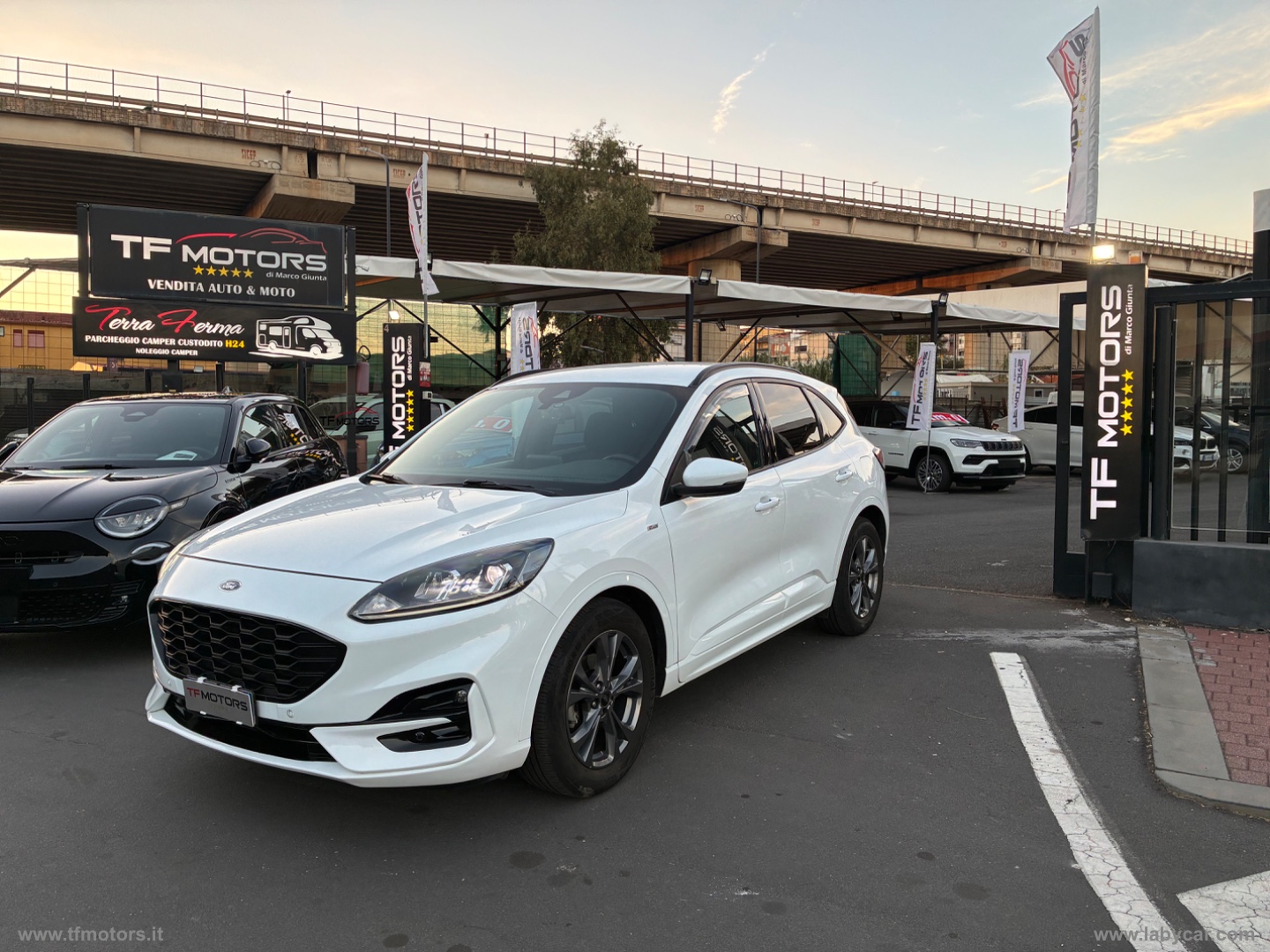 FORD Kuga 1.5 EcoBlue 120 CV 2WD ST-Line X                                                        