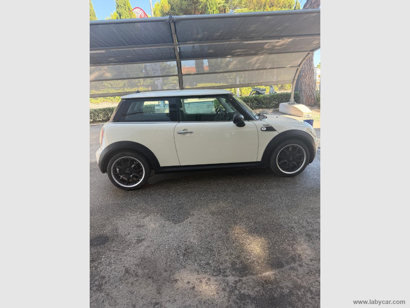 Mini Ray
